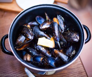 Mussels